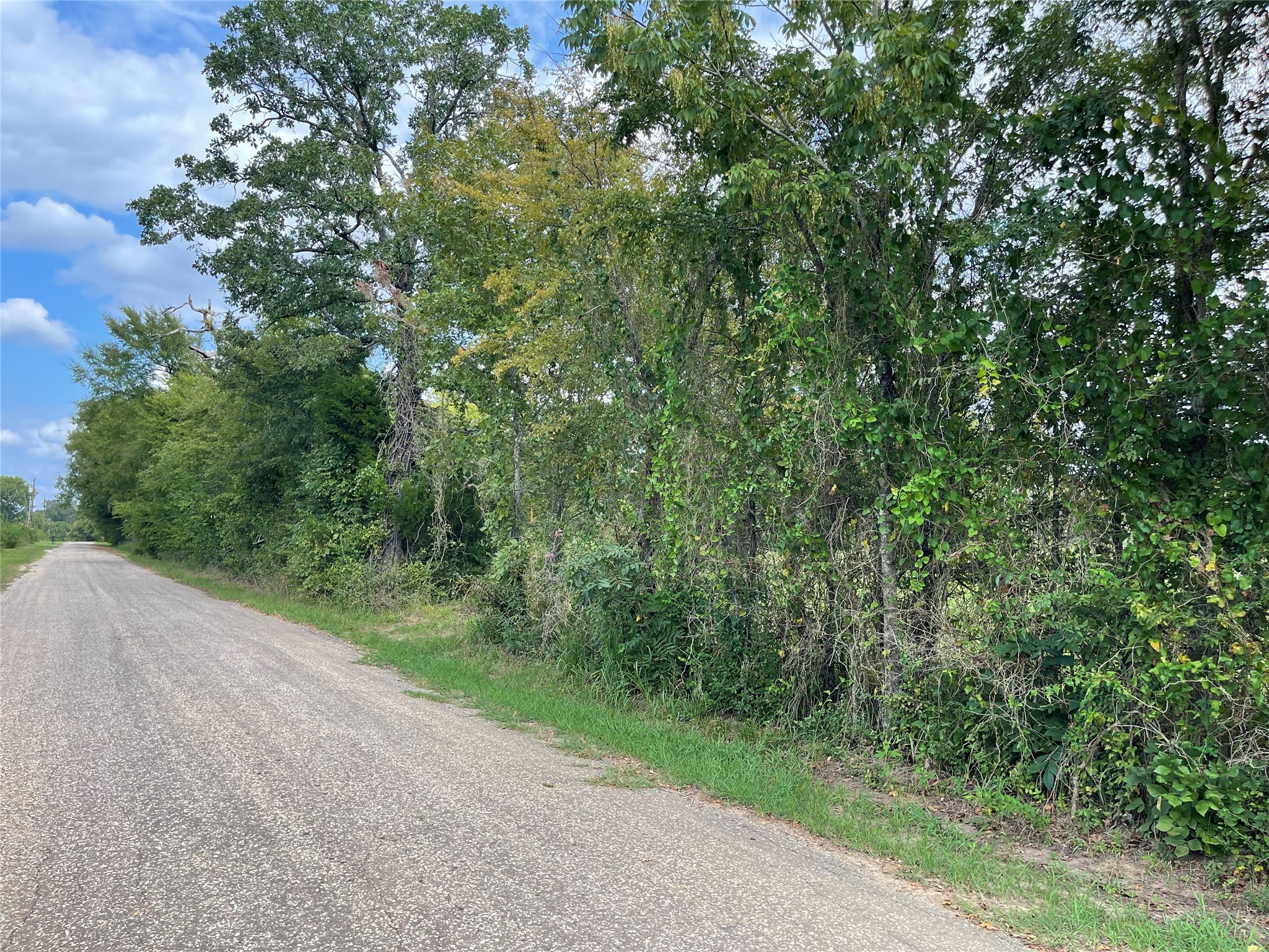 Tbd County Road 140 Streetman TX 75859
