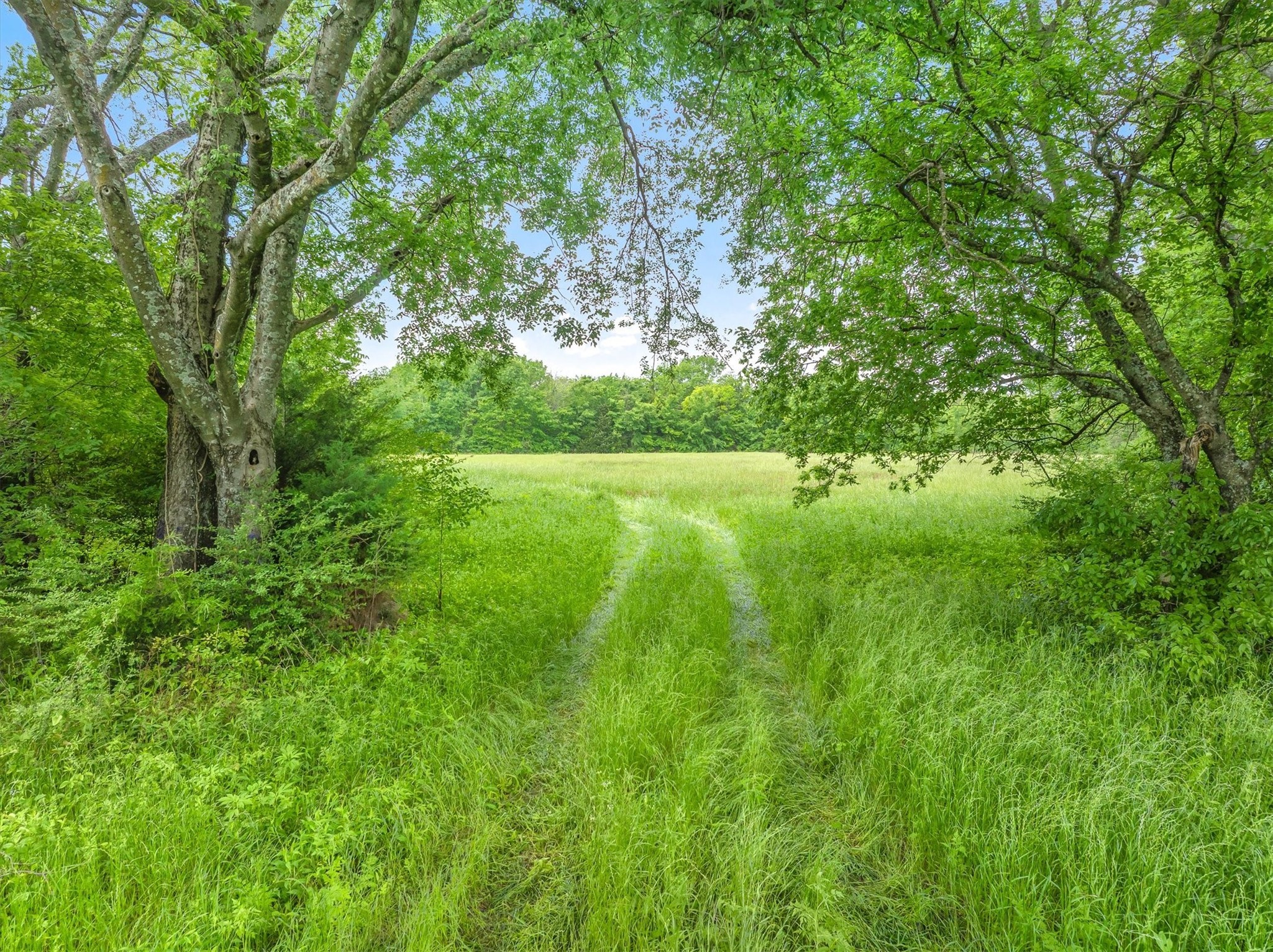Tbd Fm 751 Road Wills Point TX 75169