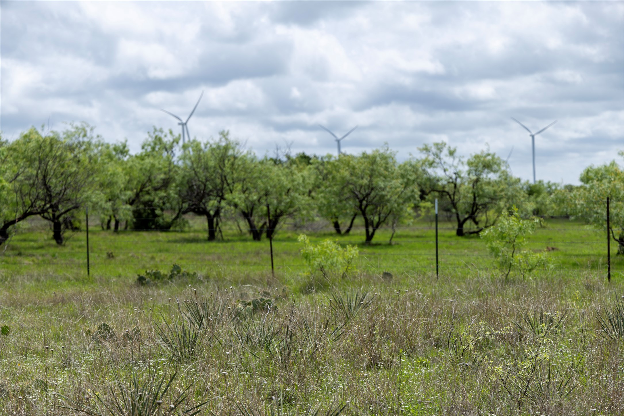 502 Co Road 127 Cisco TX 76437
