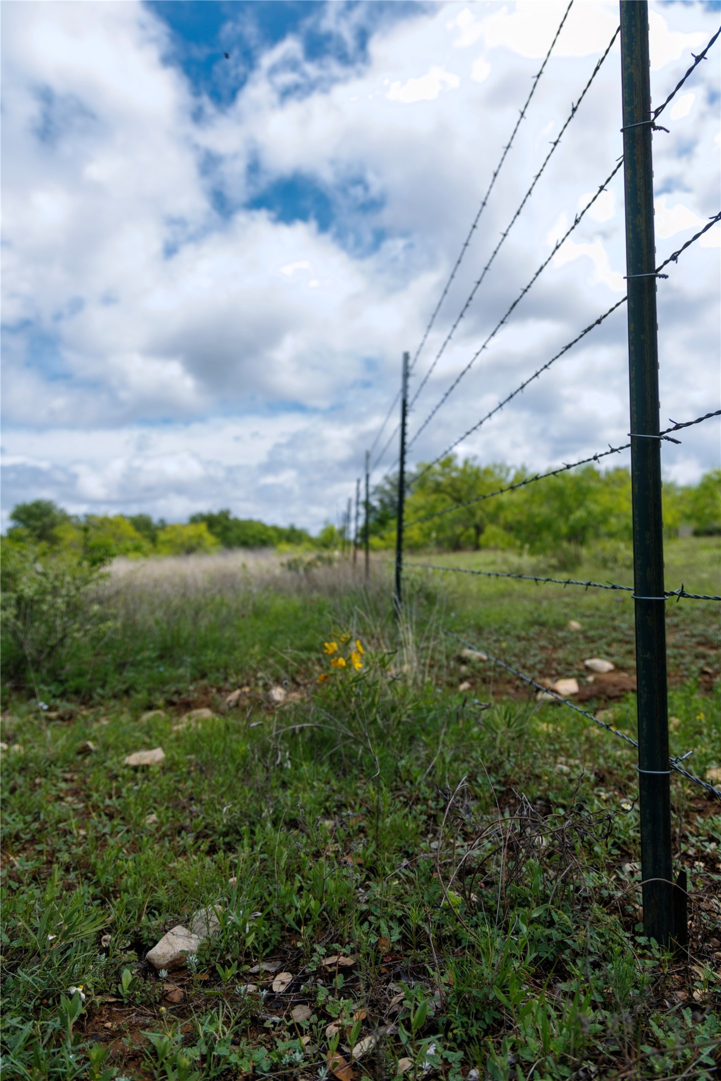 502 Co Road 127 Cisco TX 76437