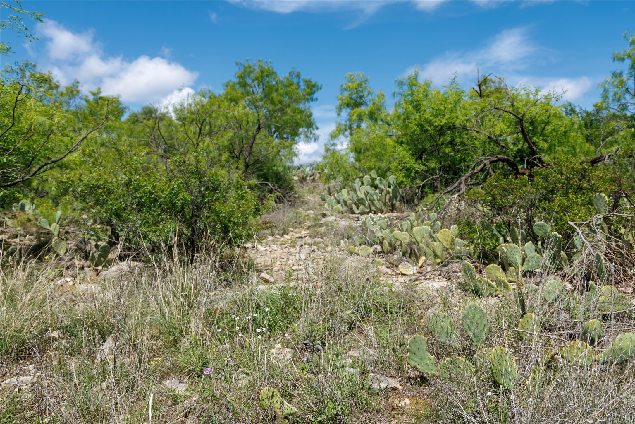 502 Co Road 127 Cisco TX 76437