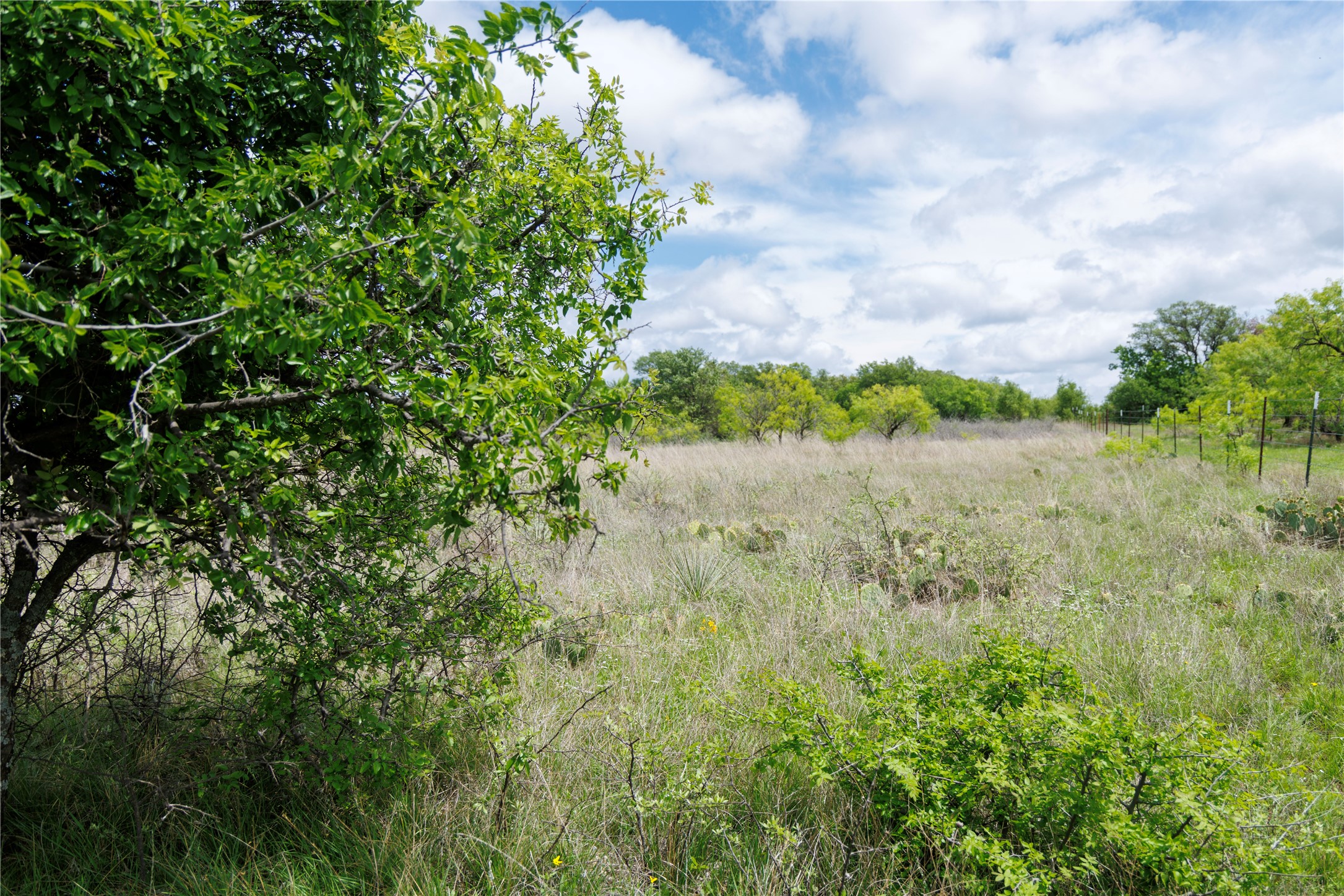 502 Co Road 127 Cisco TX 76437