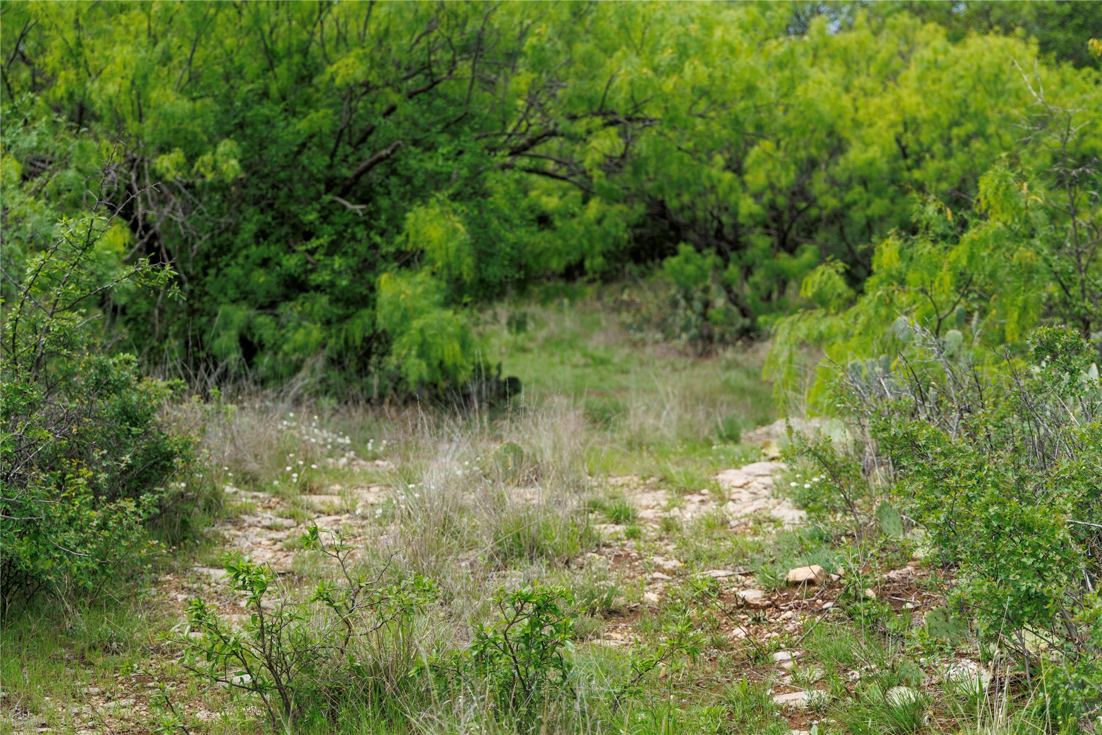 502 Co Road 127 Cisco TX 76437