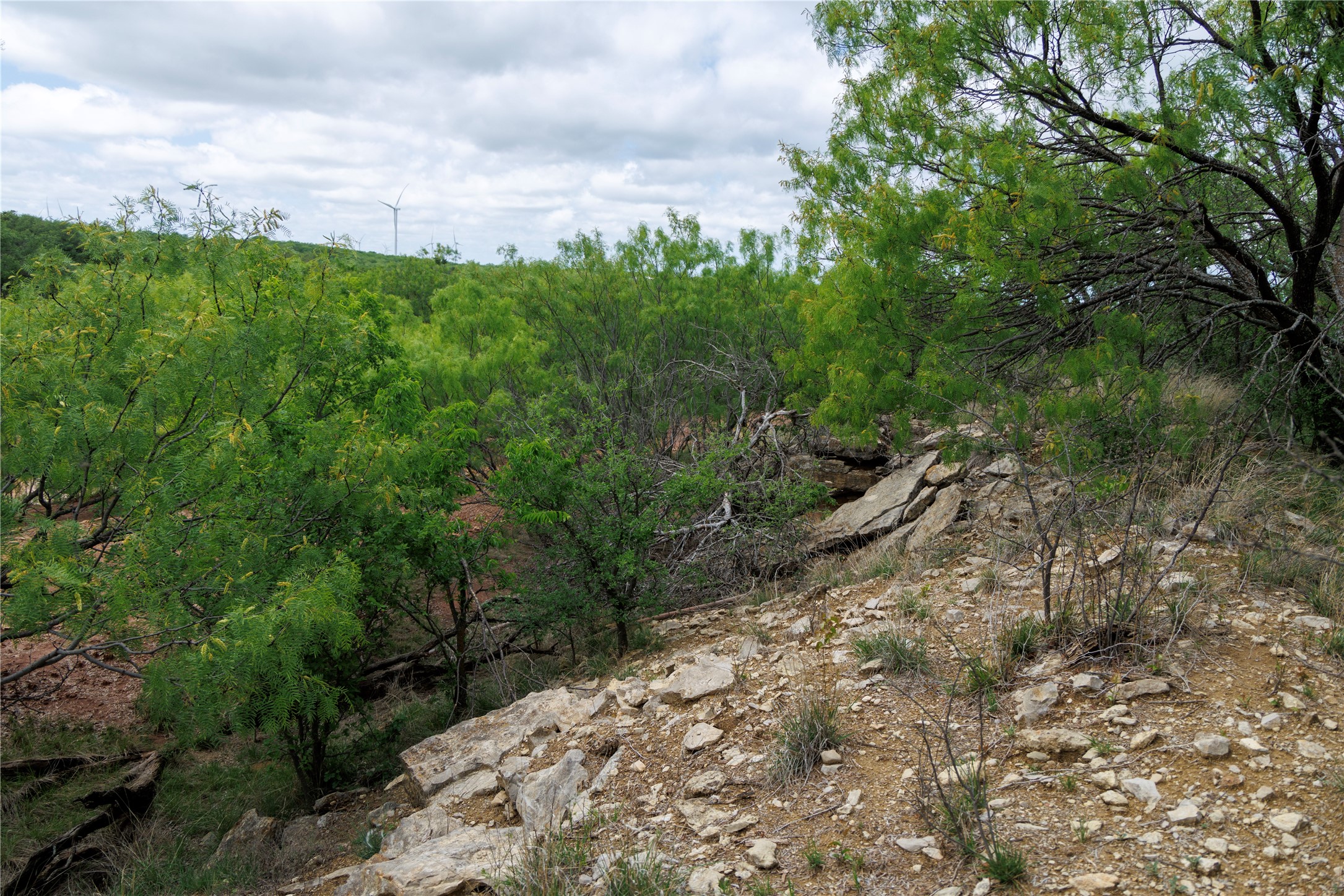 502 Co Road 127 Cisco TX 76437