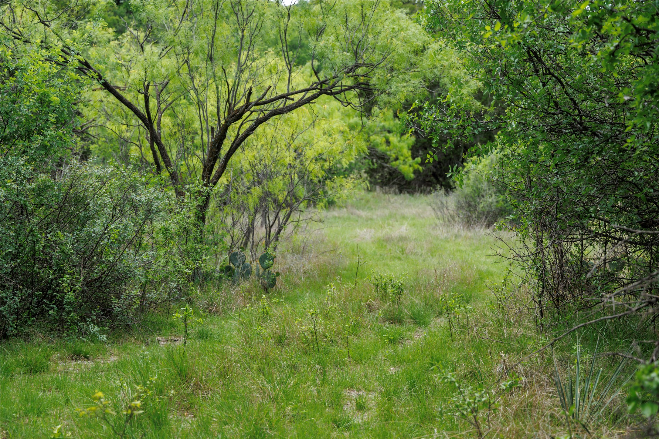 502 Co Road 127 Cisco TX 76437