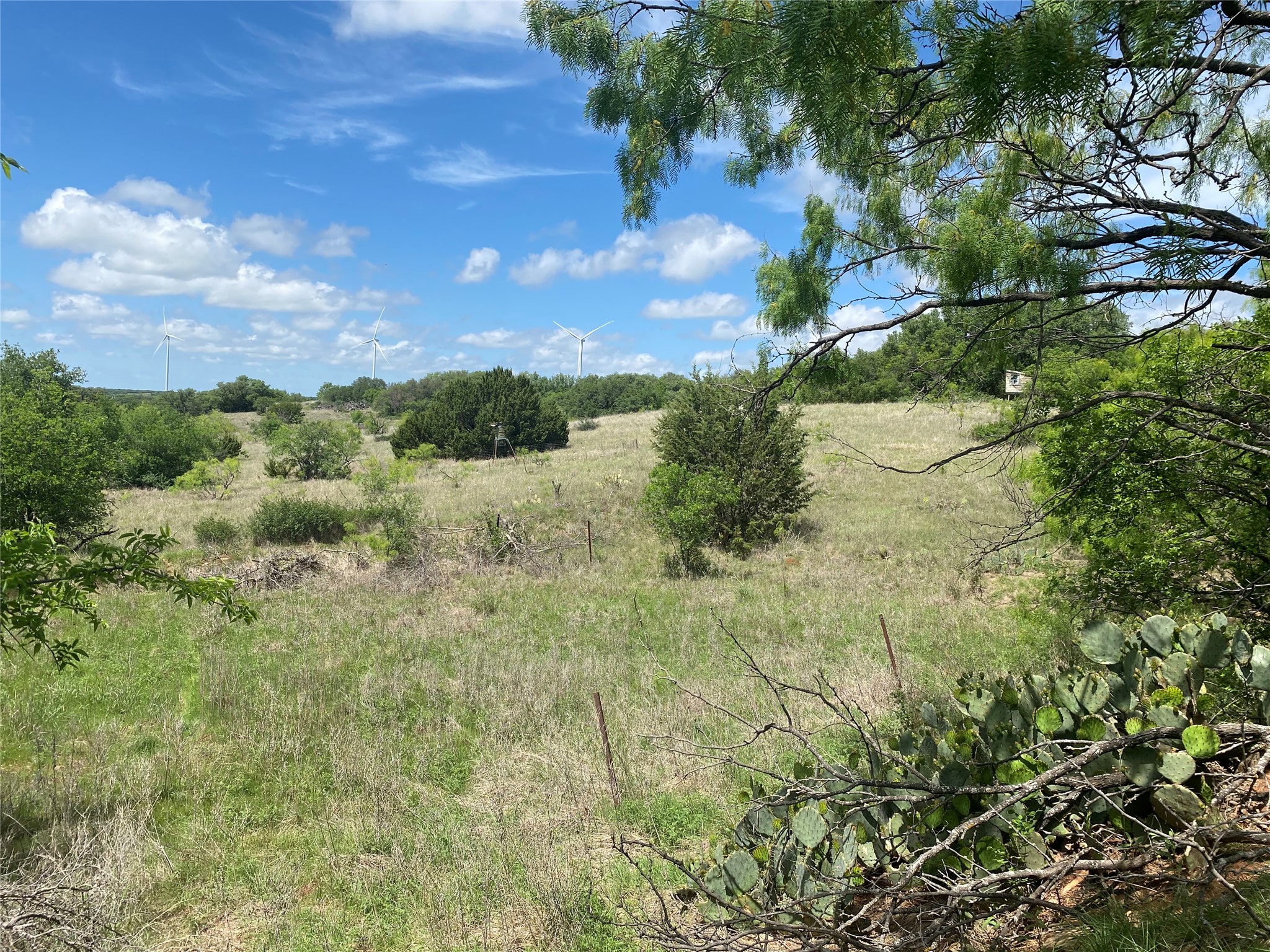 502 Co Road 127 Cisco TX 76437