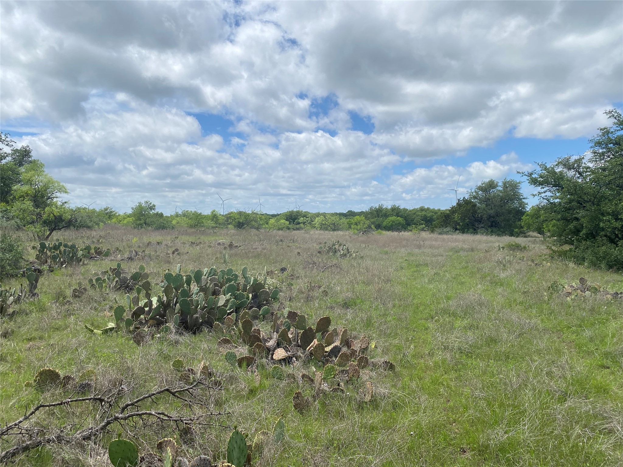 502 Co Road 127 Cisco TX 76437