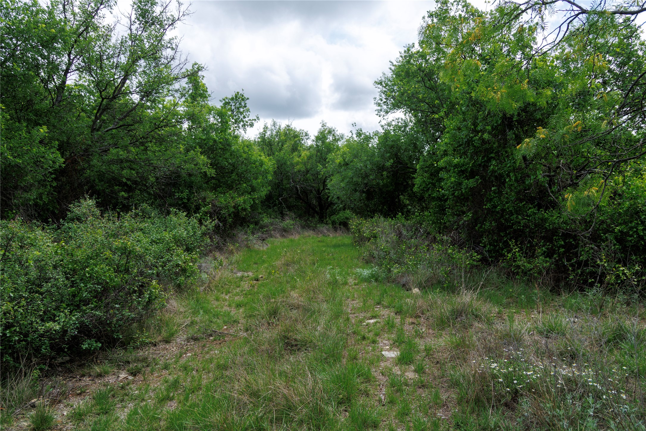502 Co Road 127 Cisco TX 76437