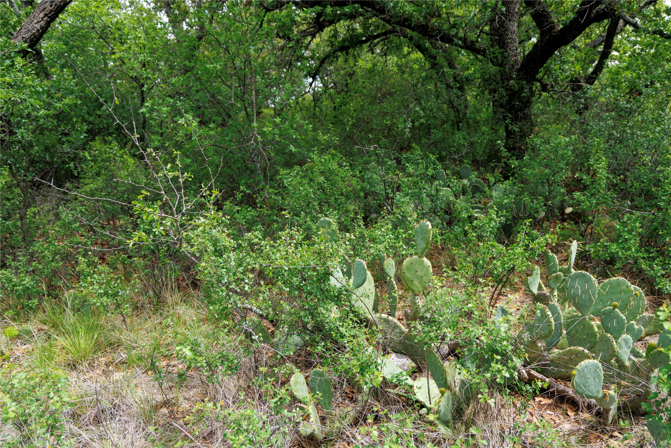 502 Co Road 127 Cisco TX 76437