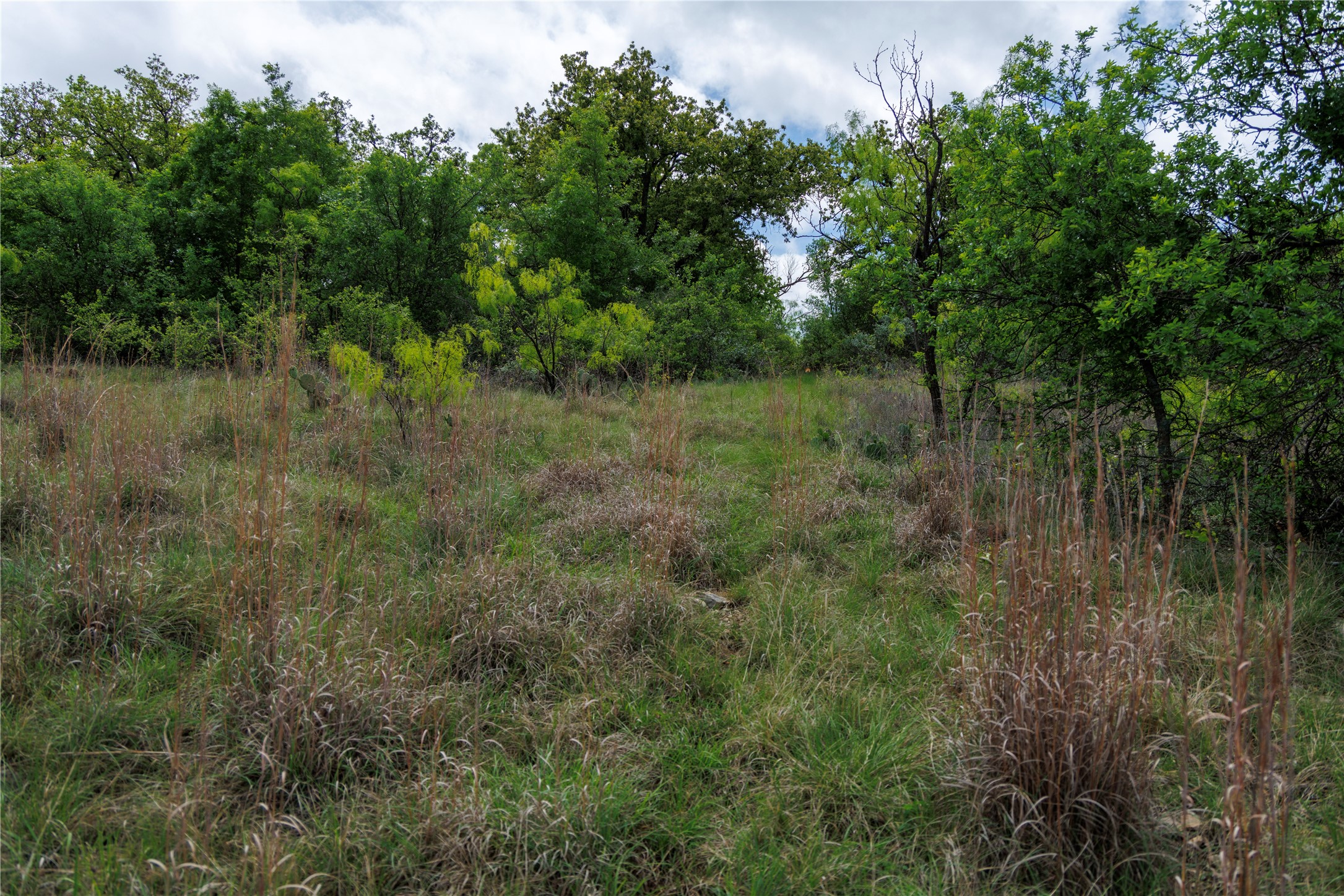 502 Co Road 127 Cisco TX 76437