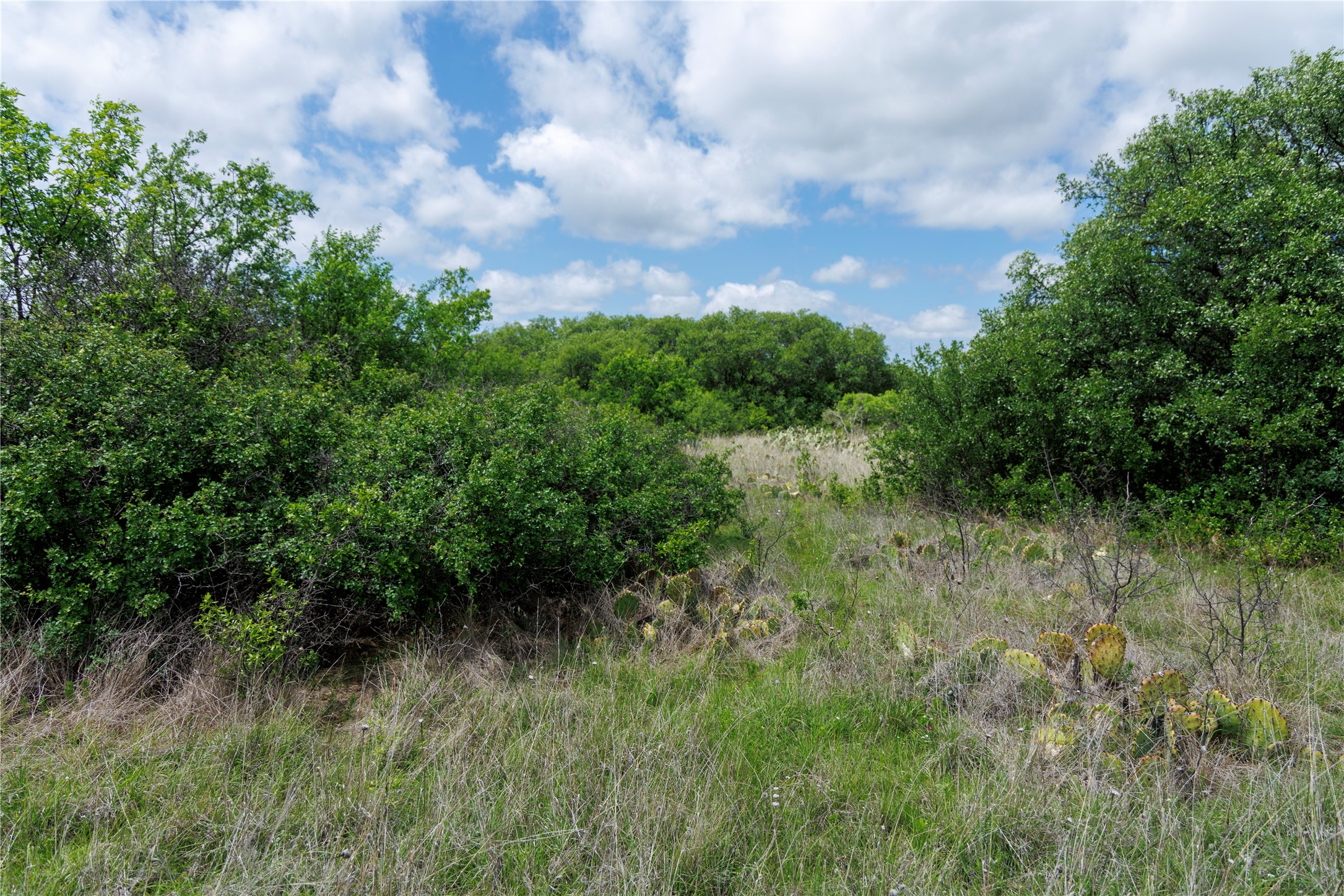 502 Co Road 127 Cisco TX 76437