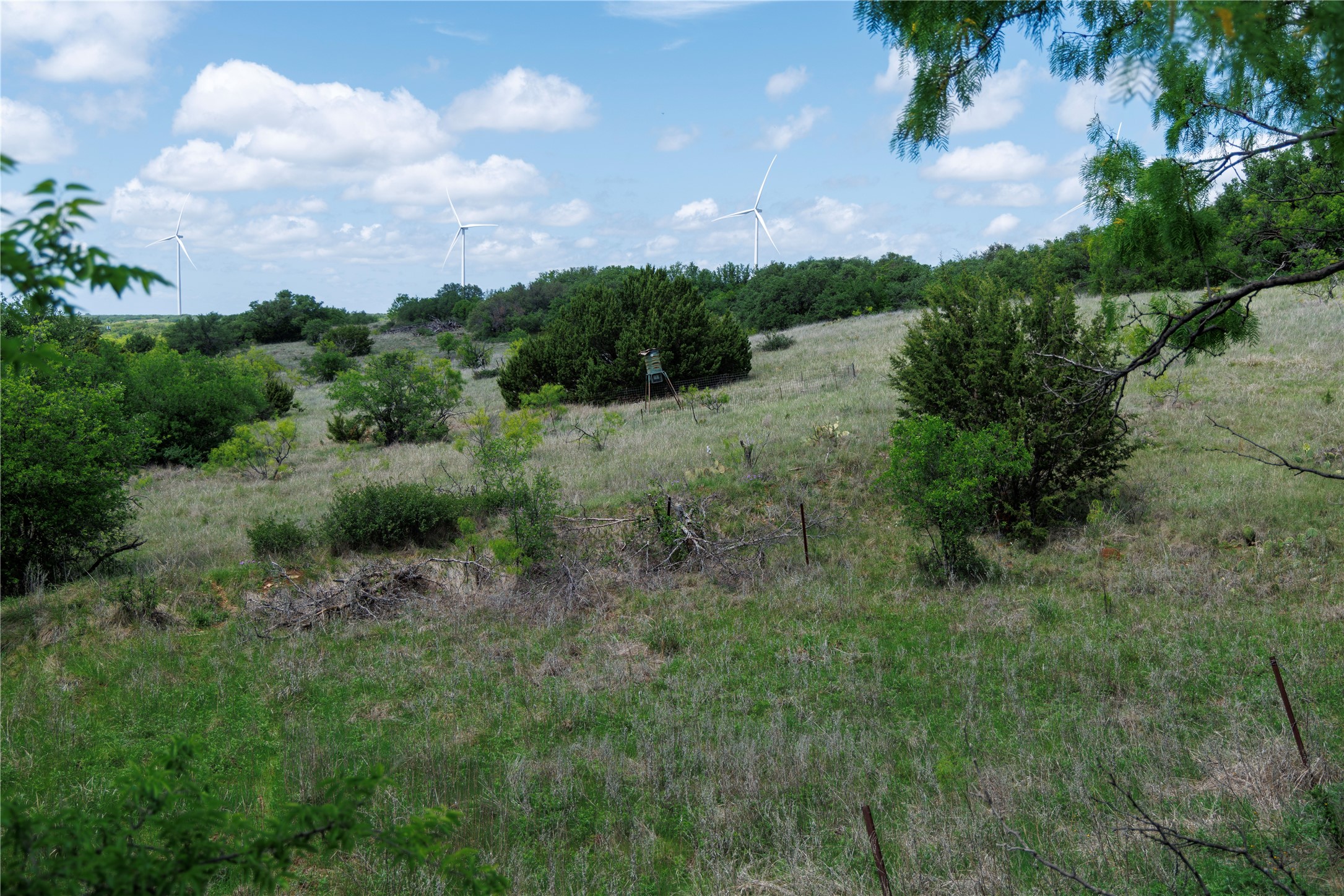 502 Co Road 127 Cisco TX 76437