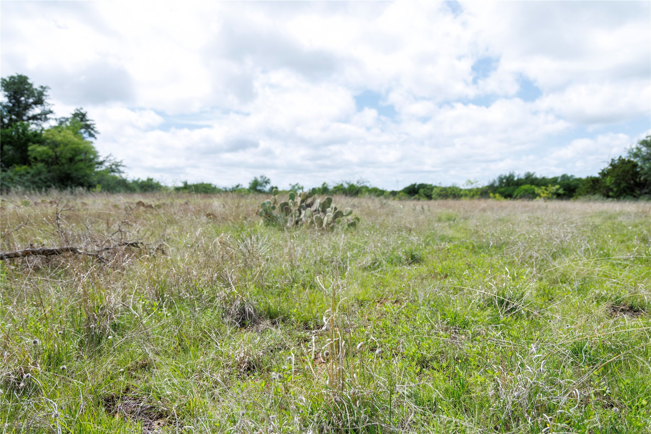 502 Co Road 127 Cisco TX 76437