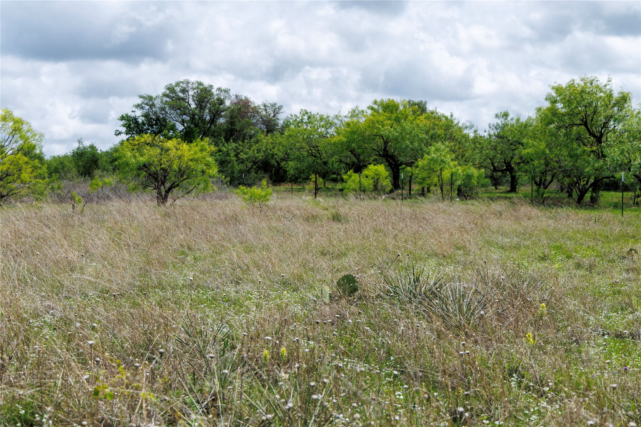 502 Co Road 127 Cisco TX 76437