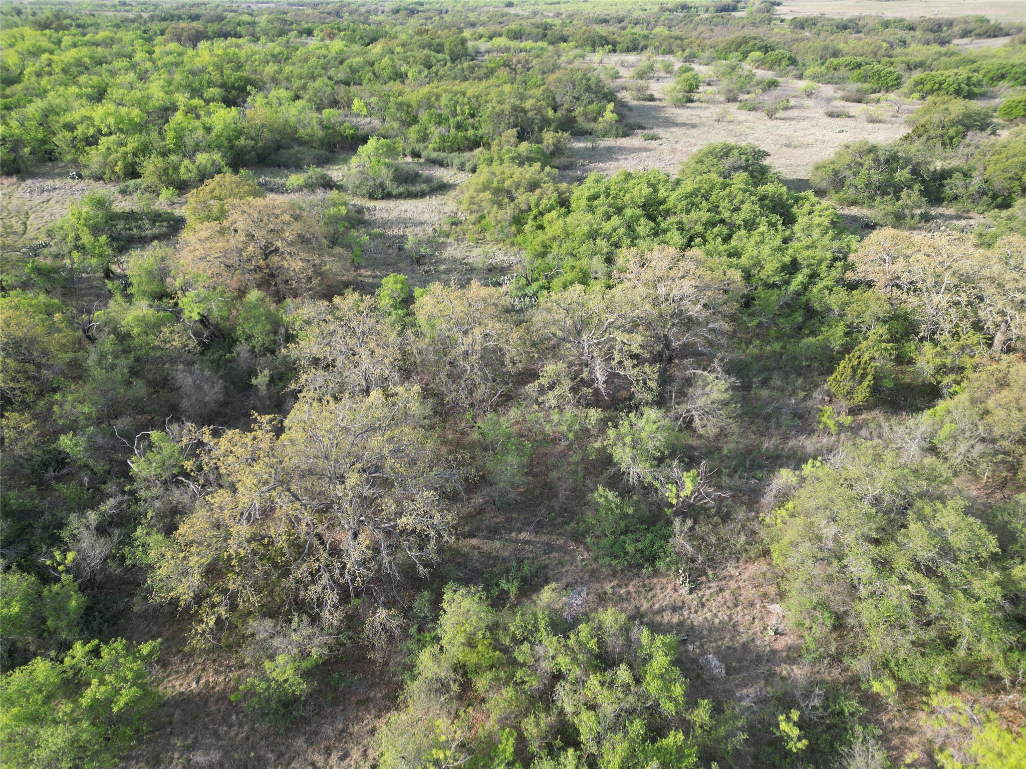 502 Co Road 127 Cisco TX 76437