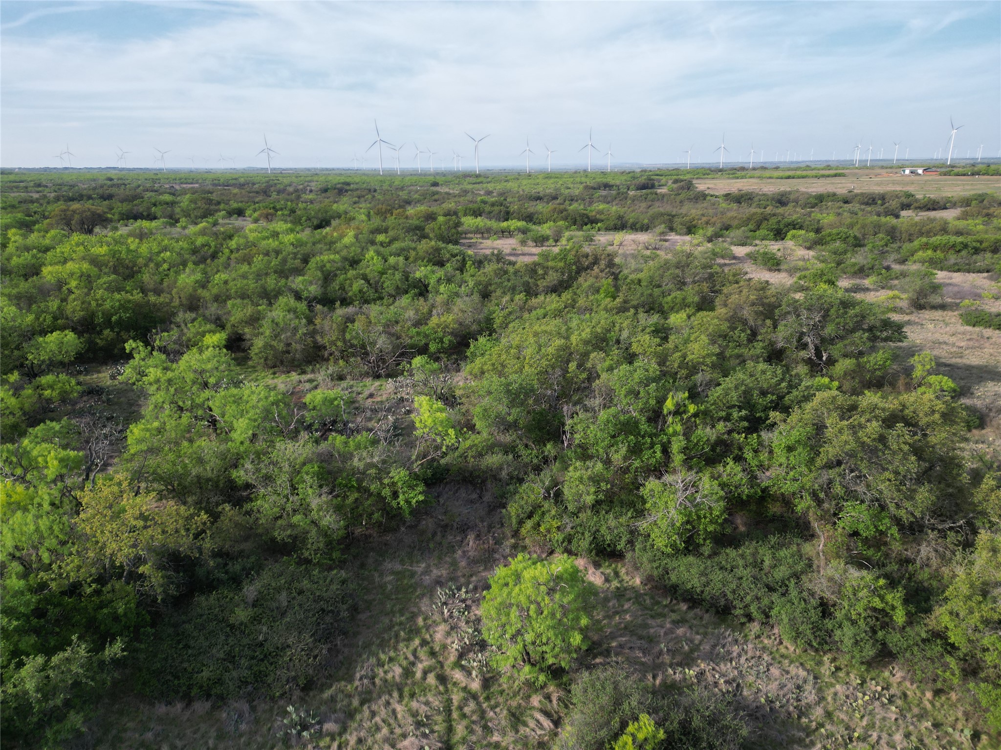 502 Co Road 127 Cisco TX 76437