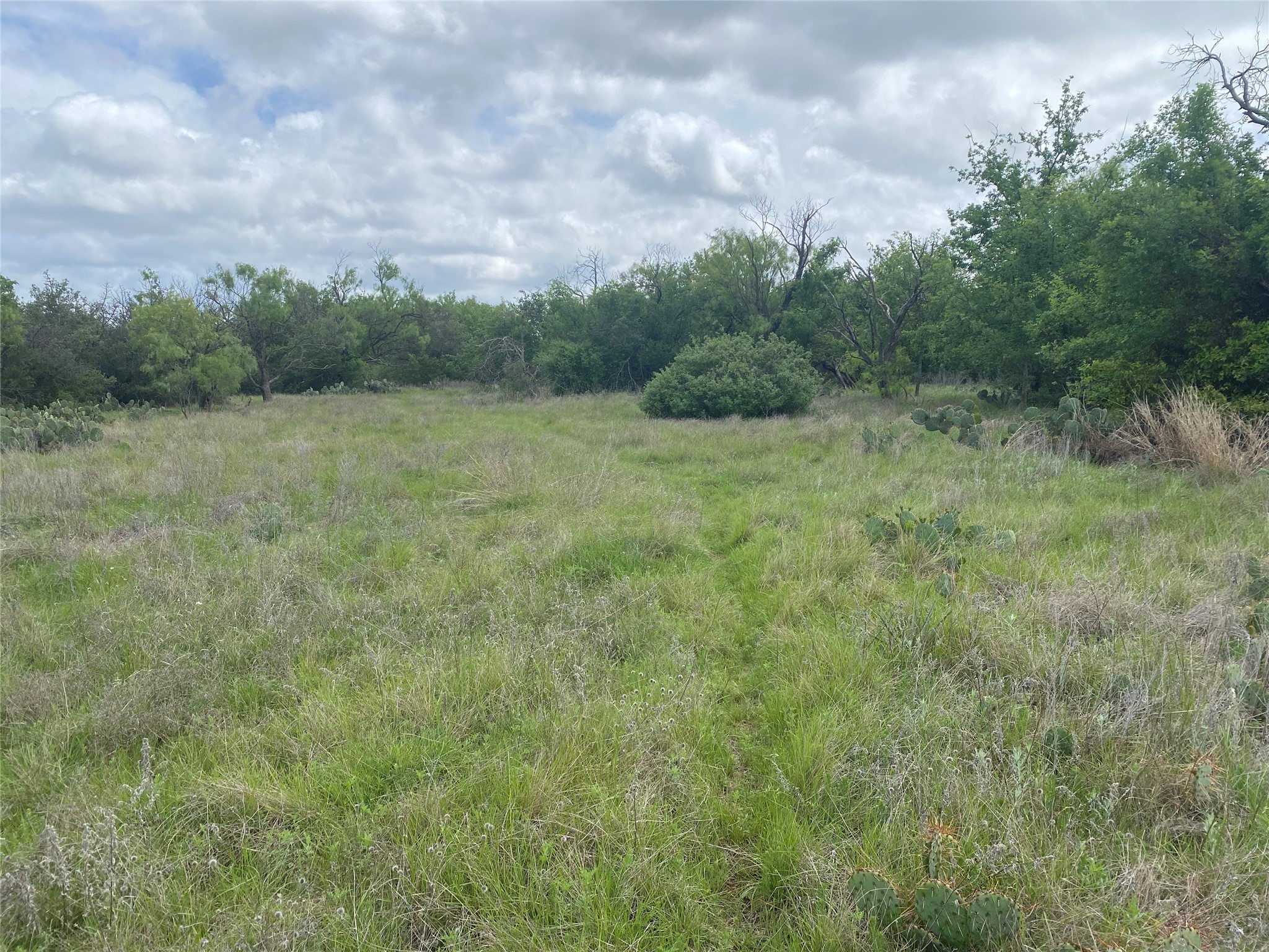 502 Co Road 127 Cisco TX 76437