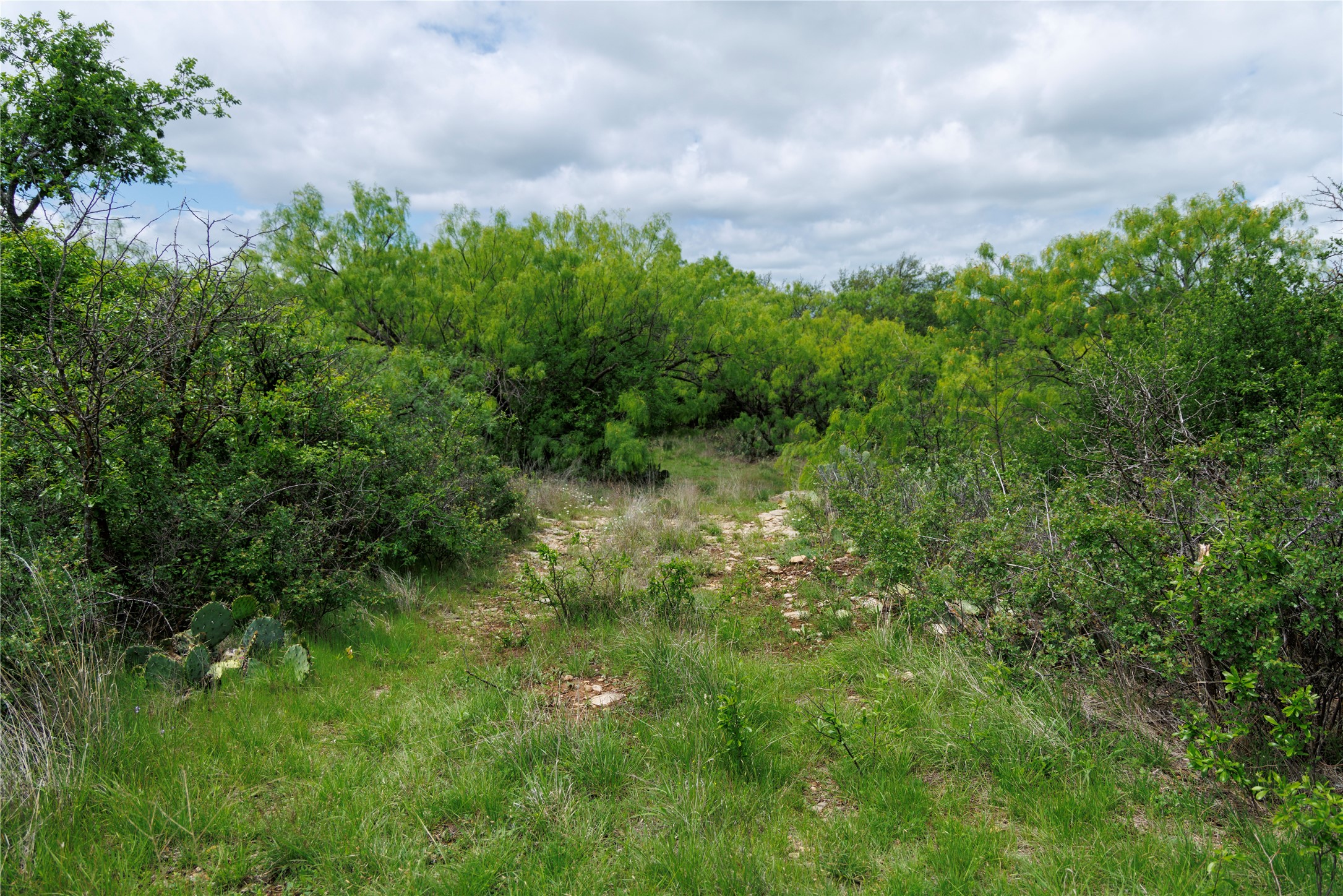 502 Co Road 127 Cisco TX 76437