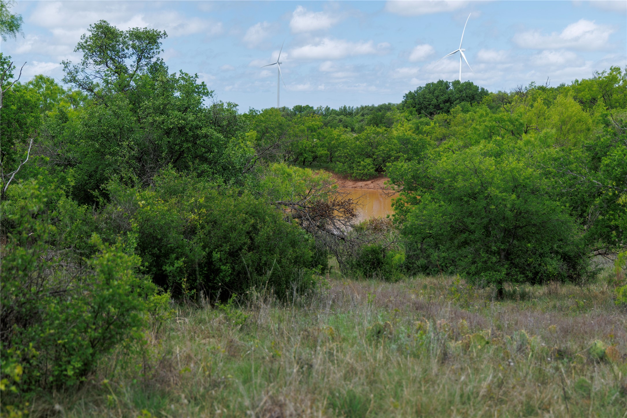 502 Co Road 127 Cisco TX 76437