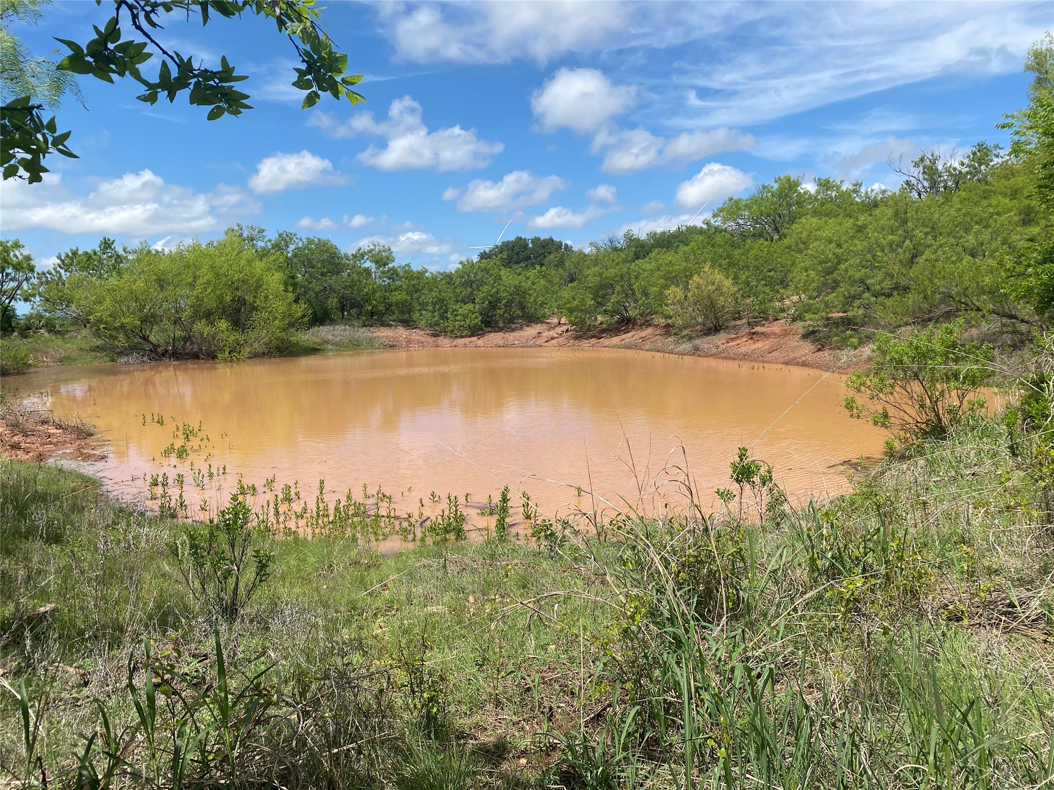 502 Co Road 127 Cisco TX 76437