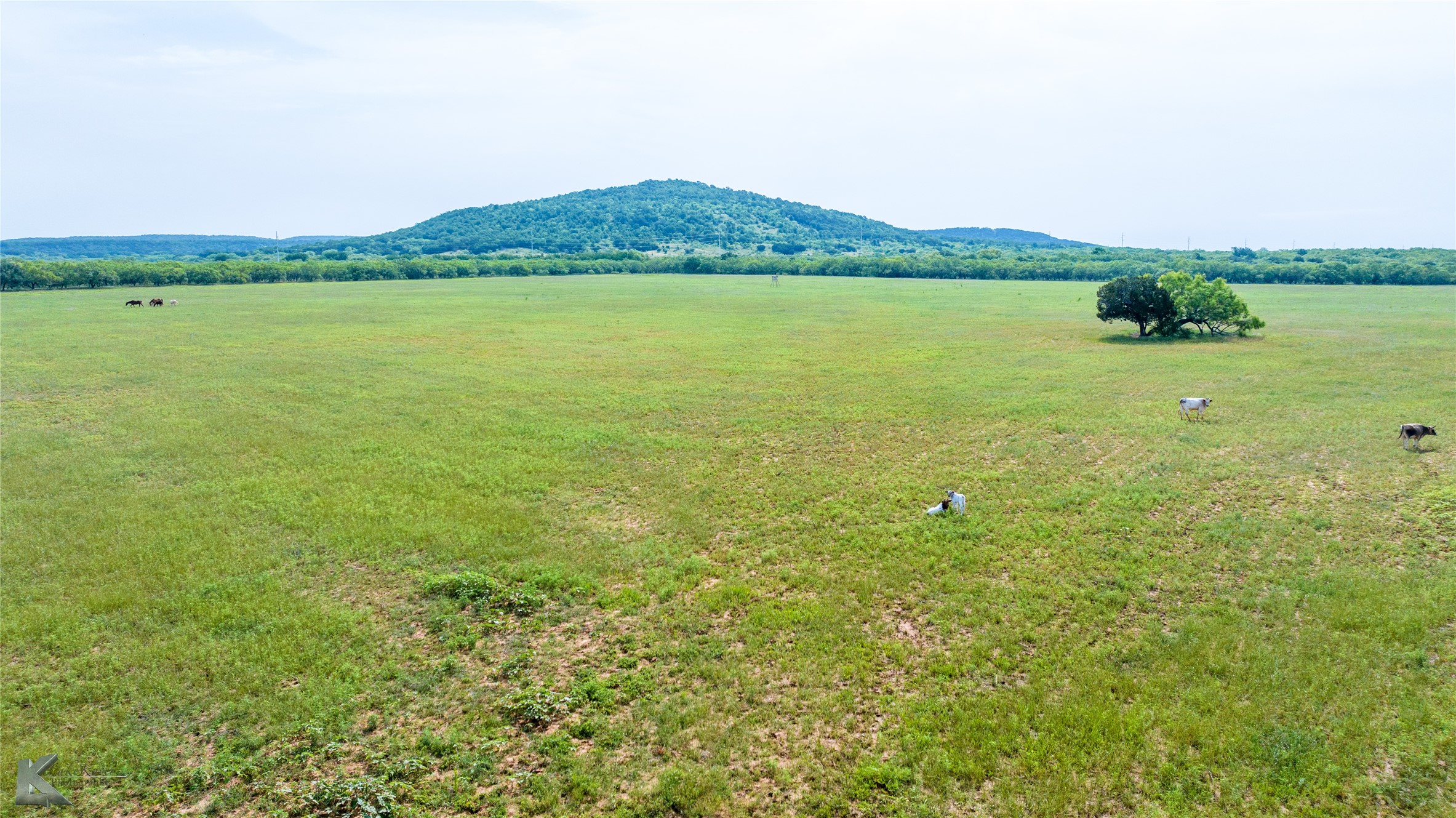 5030 Finis Road Graham TX 76450