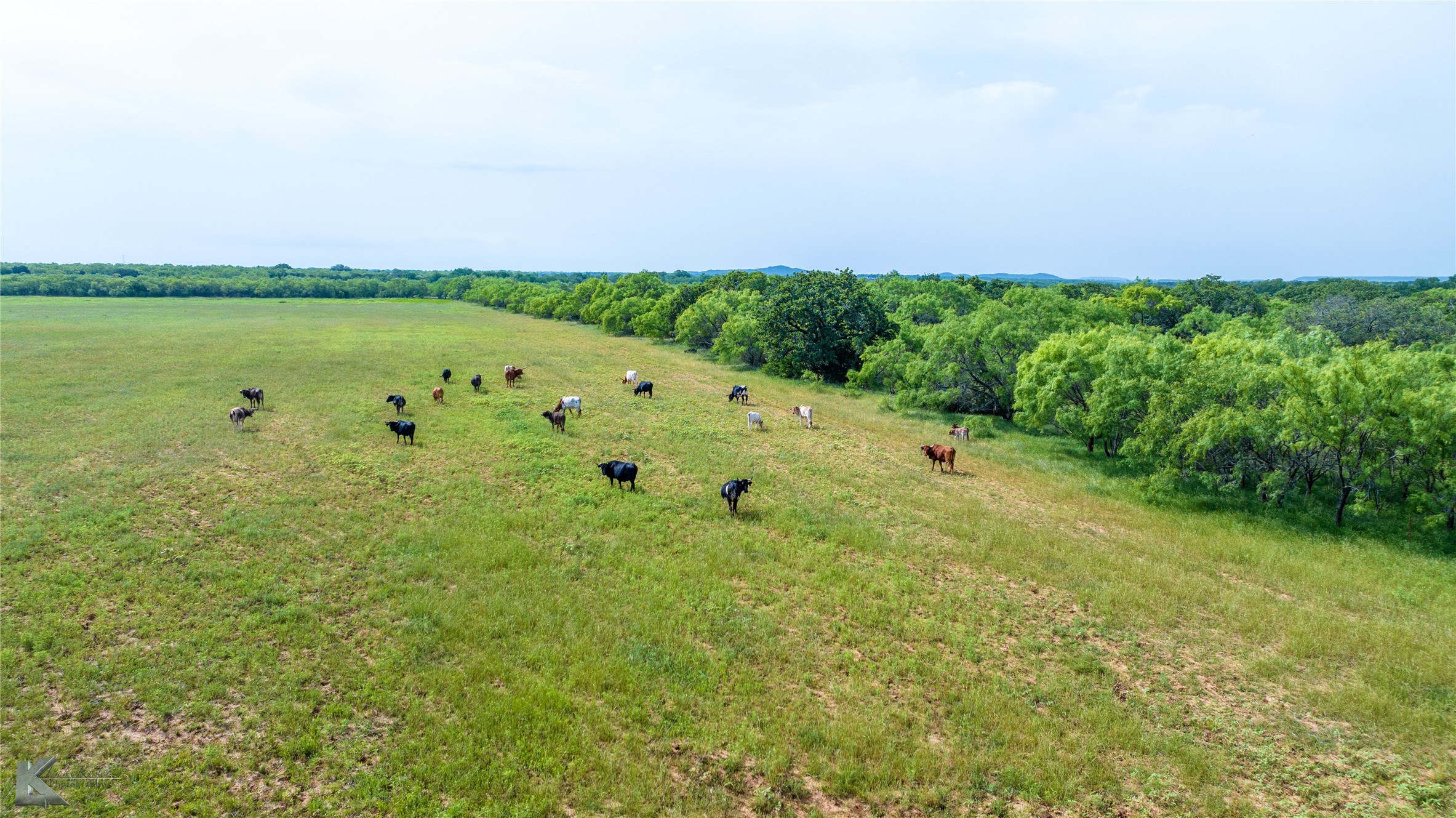5030 Finis Road Graham TX 76450