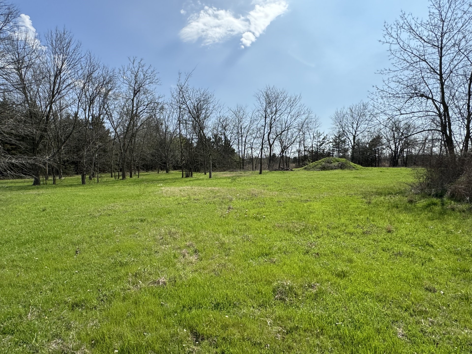 000 NE Loop 286 Paris TX 75460