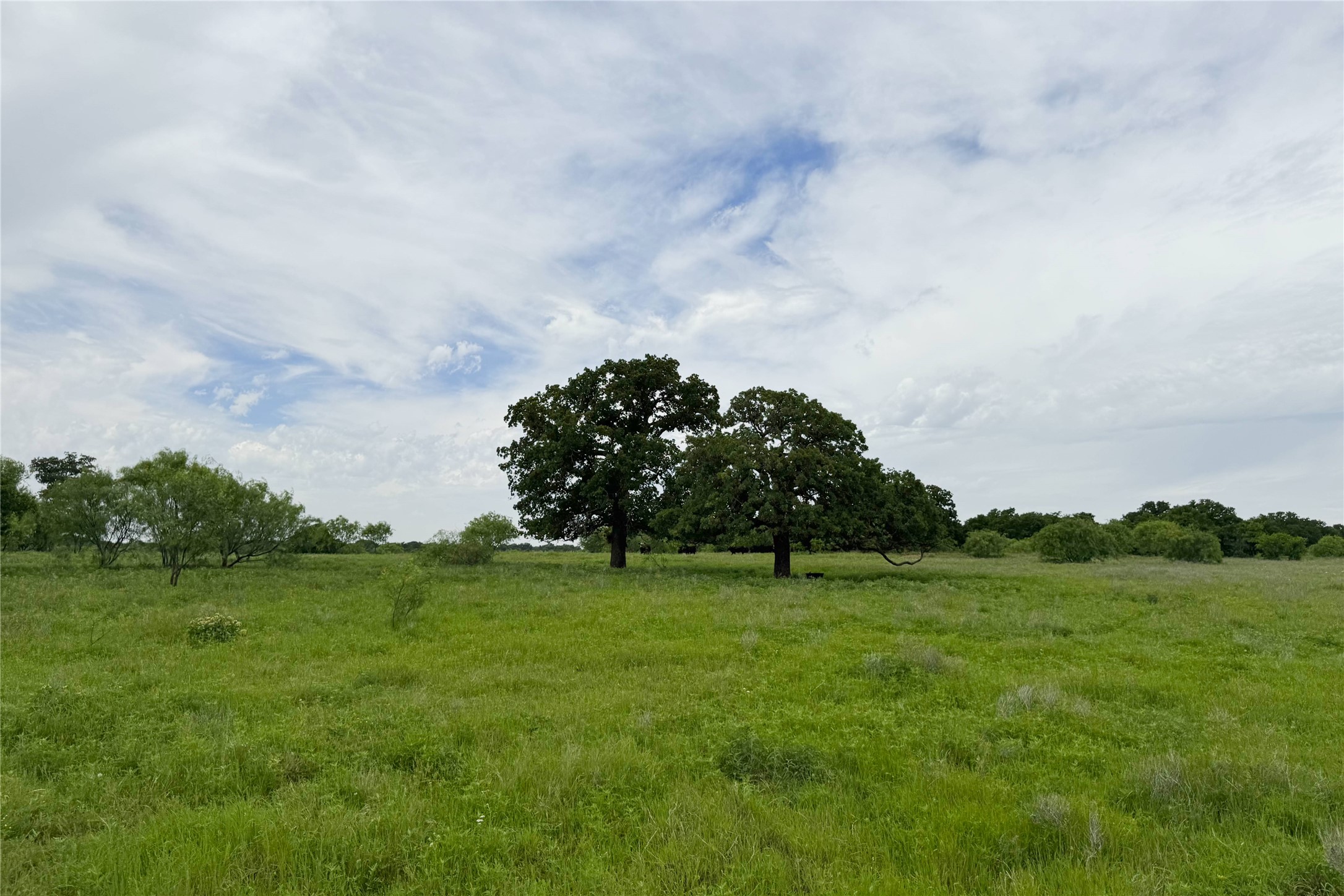 6718 Fm 175 Henrietta TX 76365