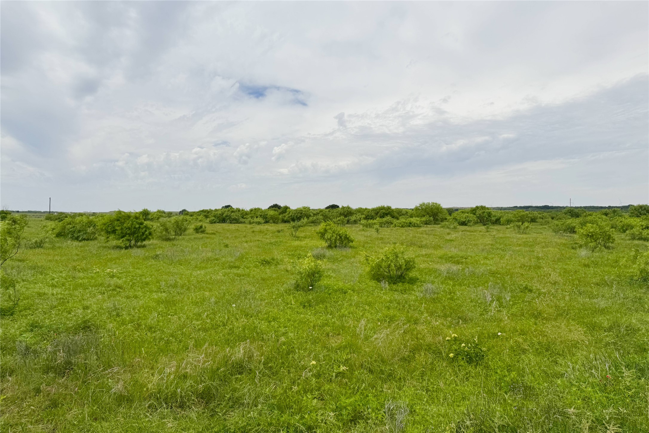 6718 Fm 175 Henrietta TX 76365