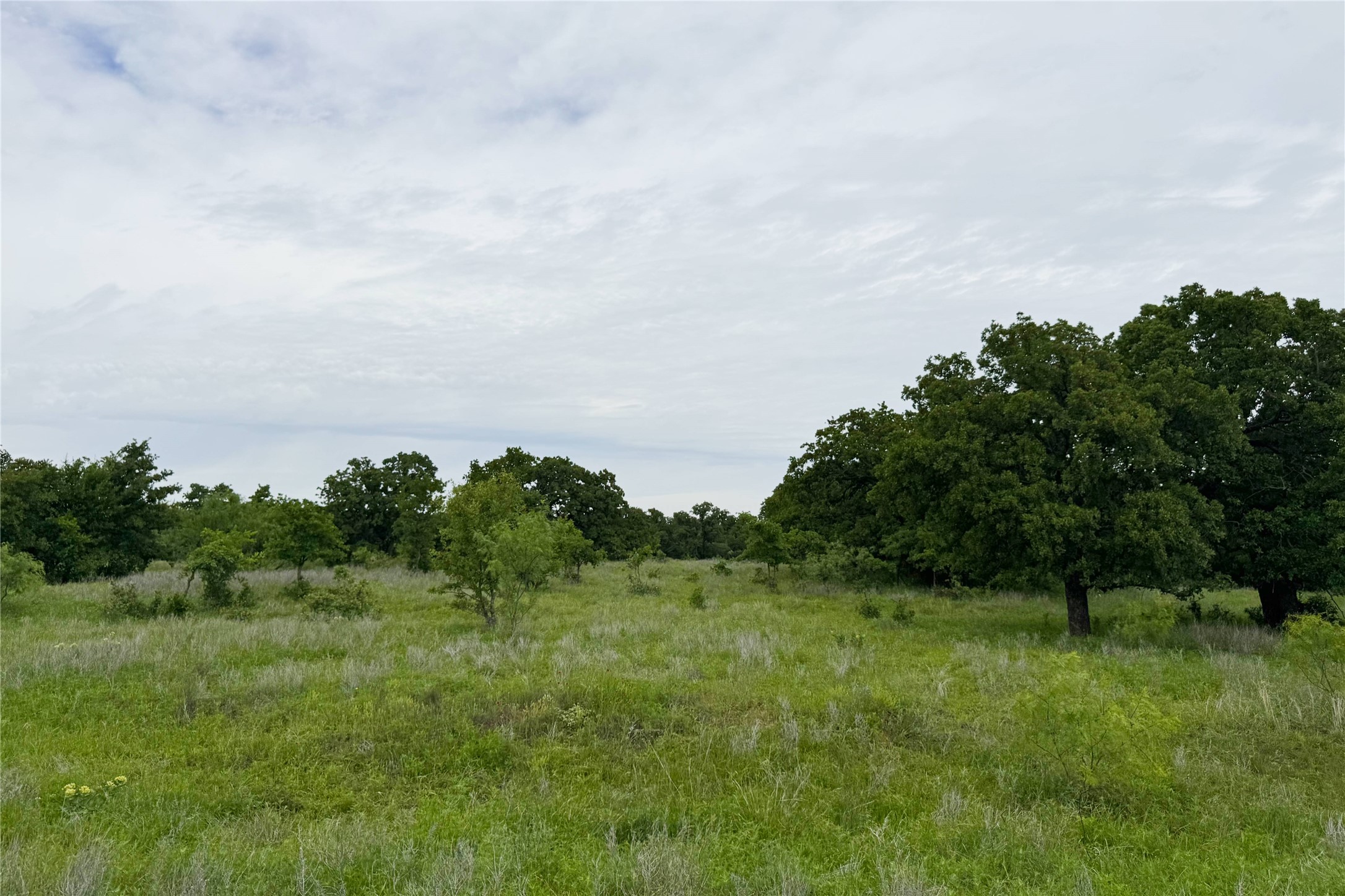 6718 Fm 175 Henrietta TX 76365