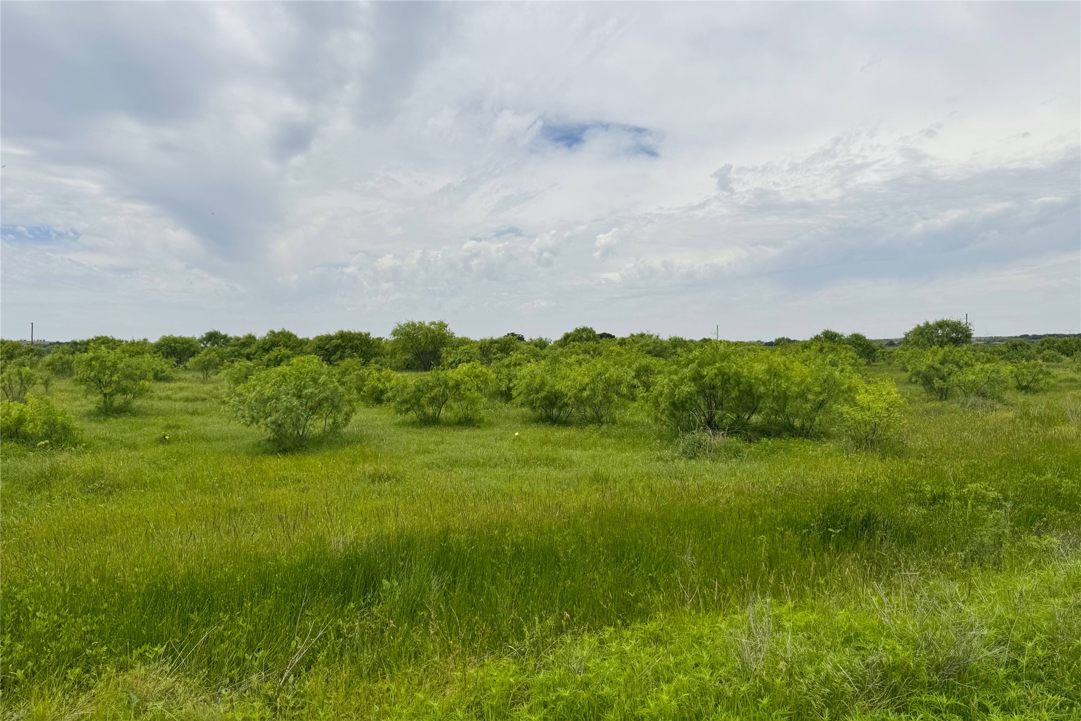 6718 Fm 175 Henrietta TX 76365