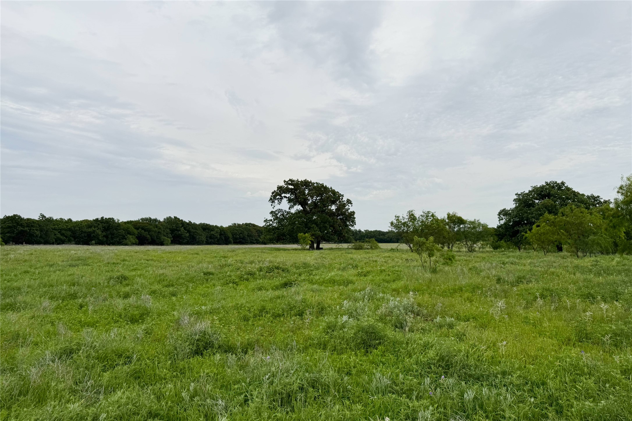 6718 Fm 175 Henrietta TX 76365