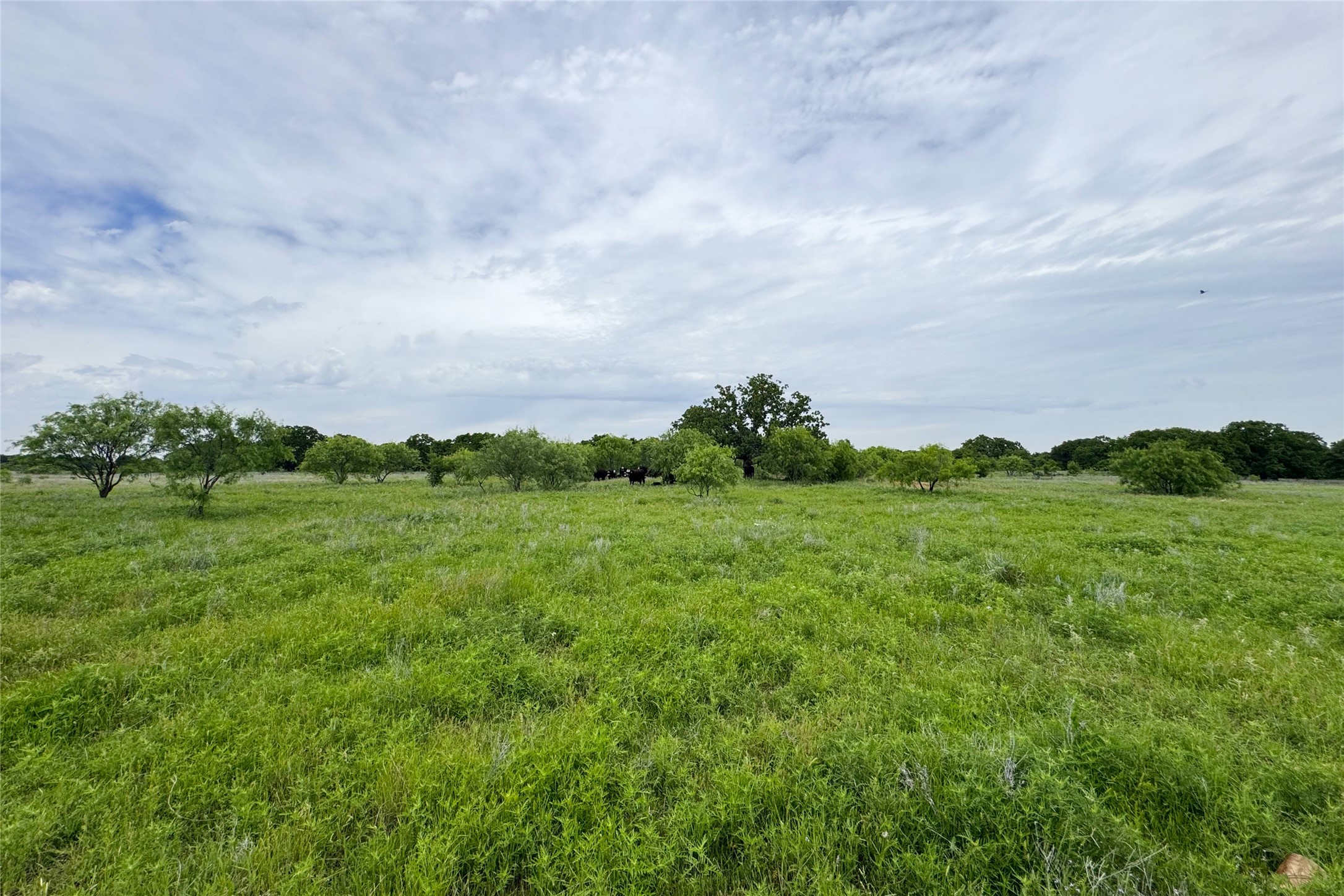 6718 Fm 175 Henrietta TX 76365