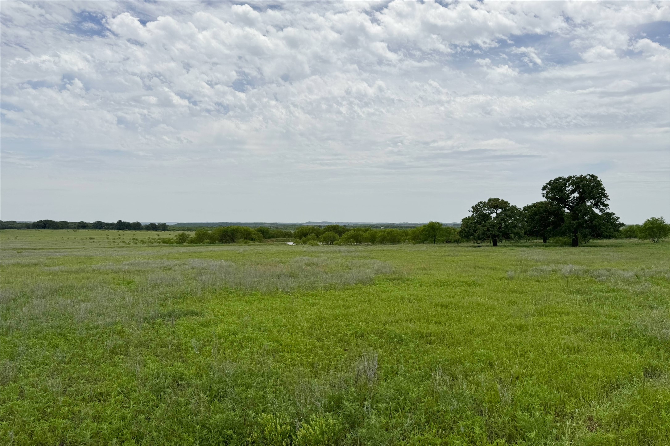 6718 Fm 175 Henrietta TX 76365