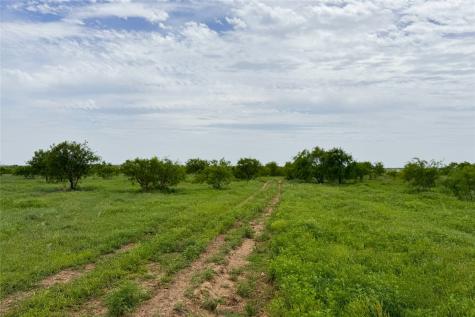 6718 Fm 175 Henrietta TX 76365
