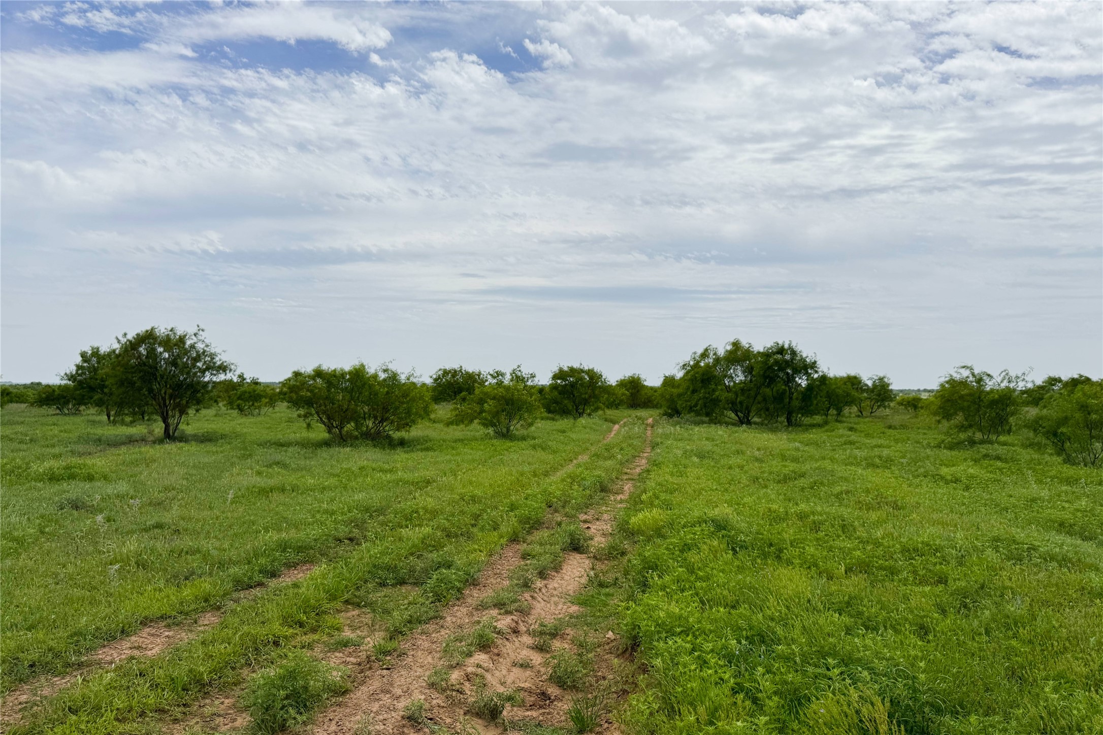 6718 Fm 175 Henrietta TX 76365