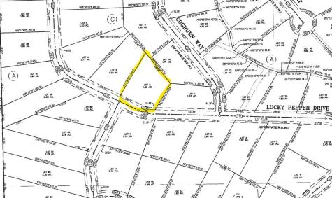 2661 Lucky Pepper Drive Granbury TX 76049