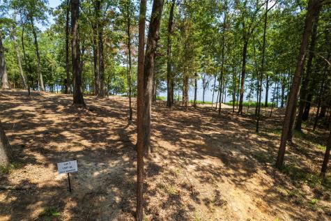TBD Pr Rd52447 Leesburg TX 75451