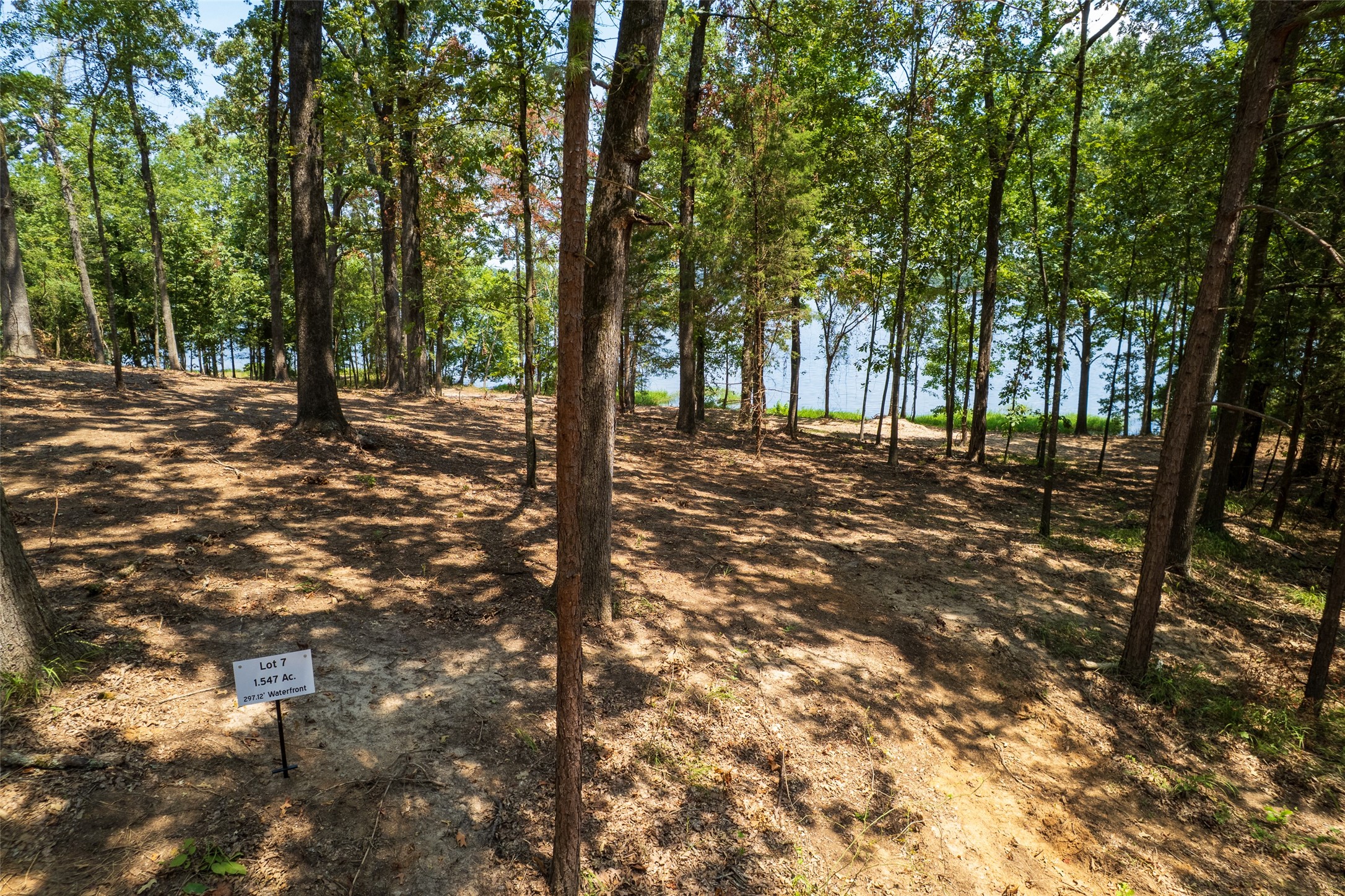 Tbd Pr Rd52447 Leesburg TX 75451
