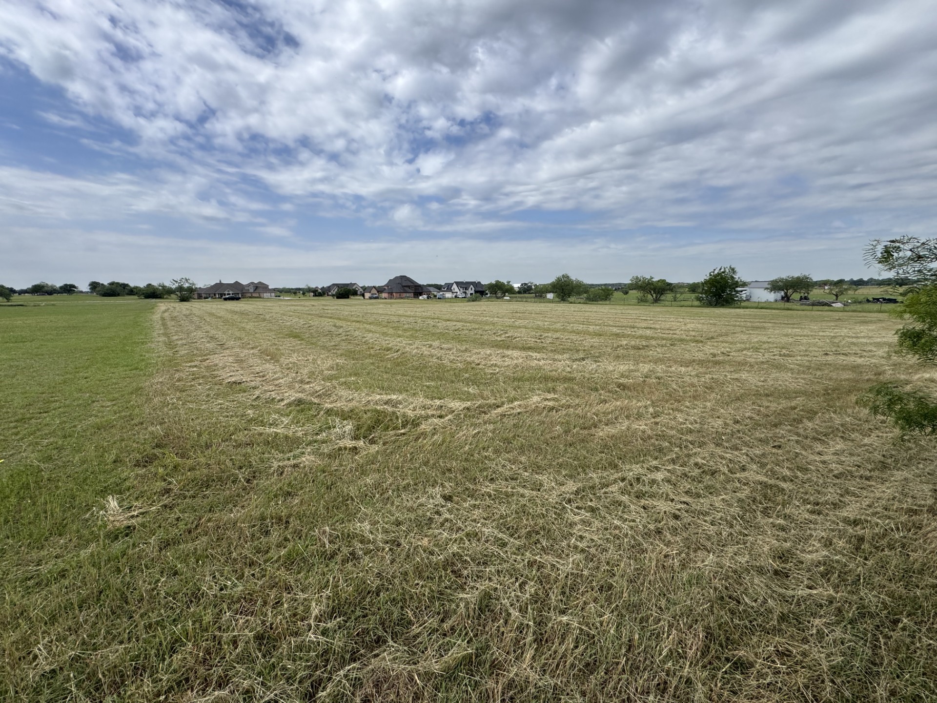 220 Martingale Drive Oak Point TX 75068