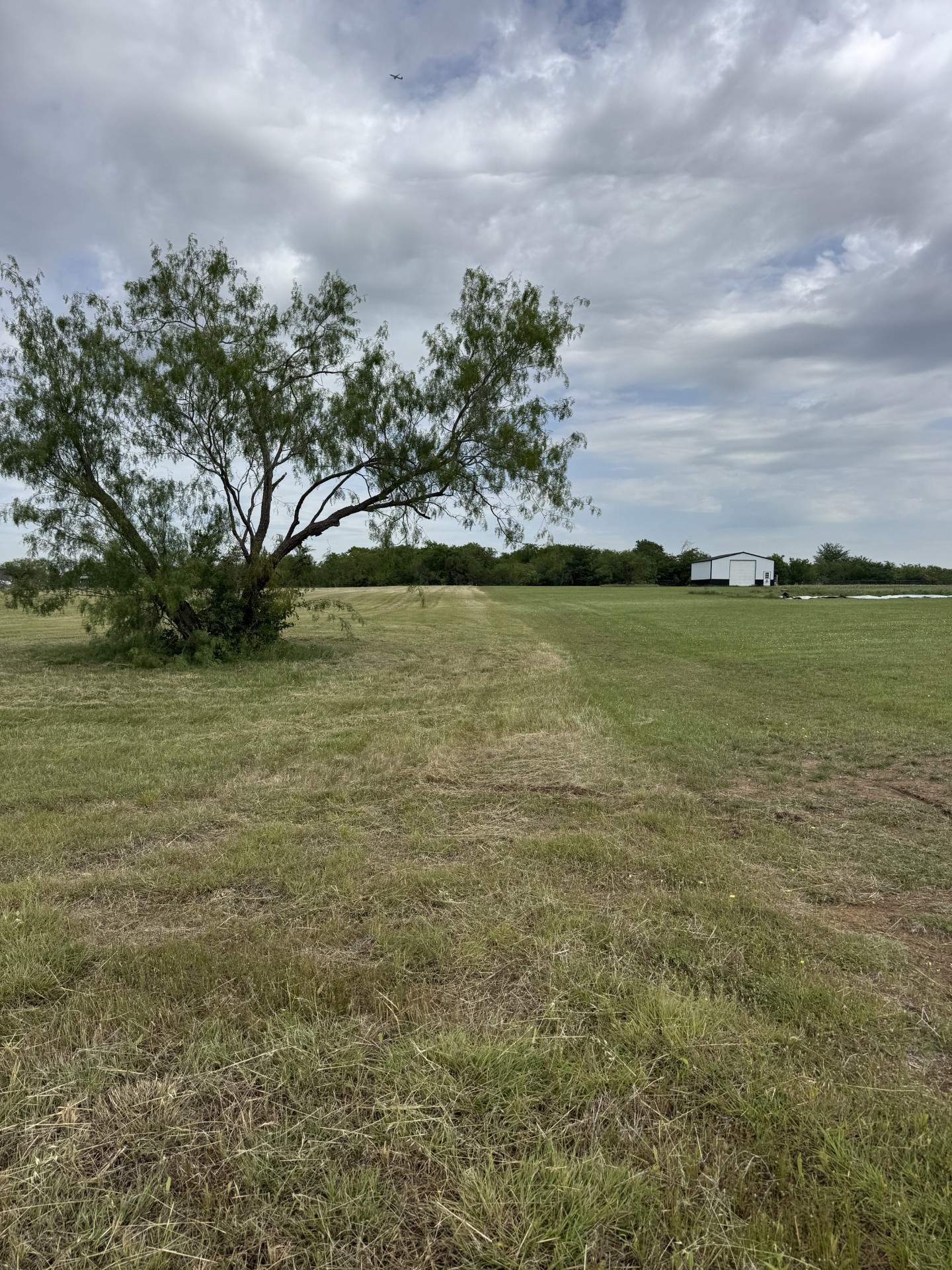 220 Martingale Drive Oak Point TX 75068