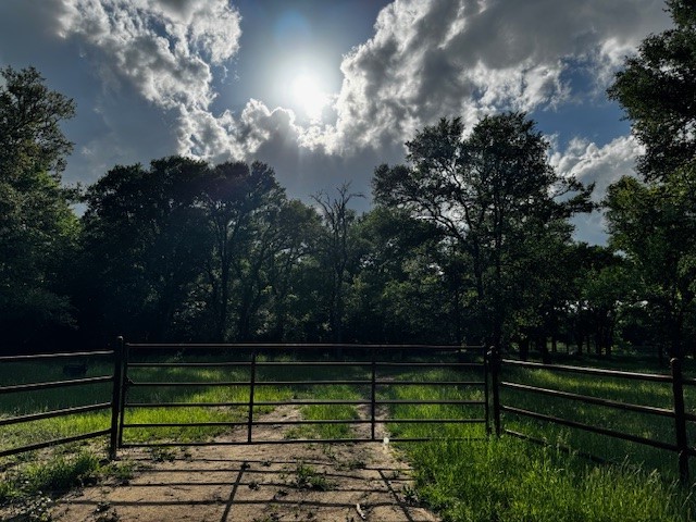 Tbd Cr 1000 County Road 1000 Road Wortham TX 76693