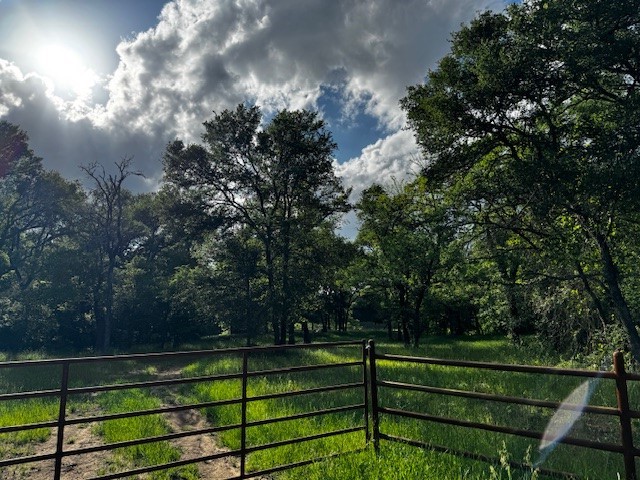 Tbd Cr 1000 County Road 1000 Road Wortham TX 76693