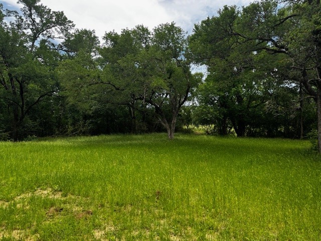 Tbd Cr 1000 County Road 1000 Road Wortham TX 76693