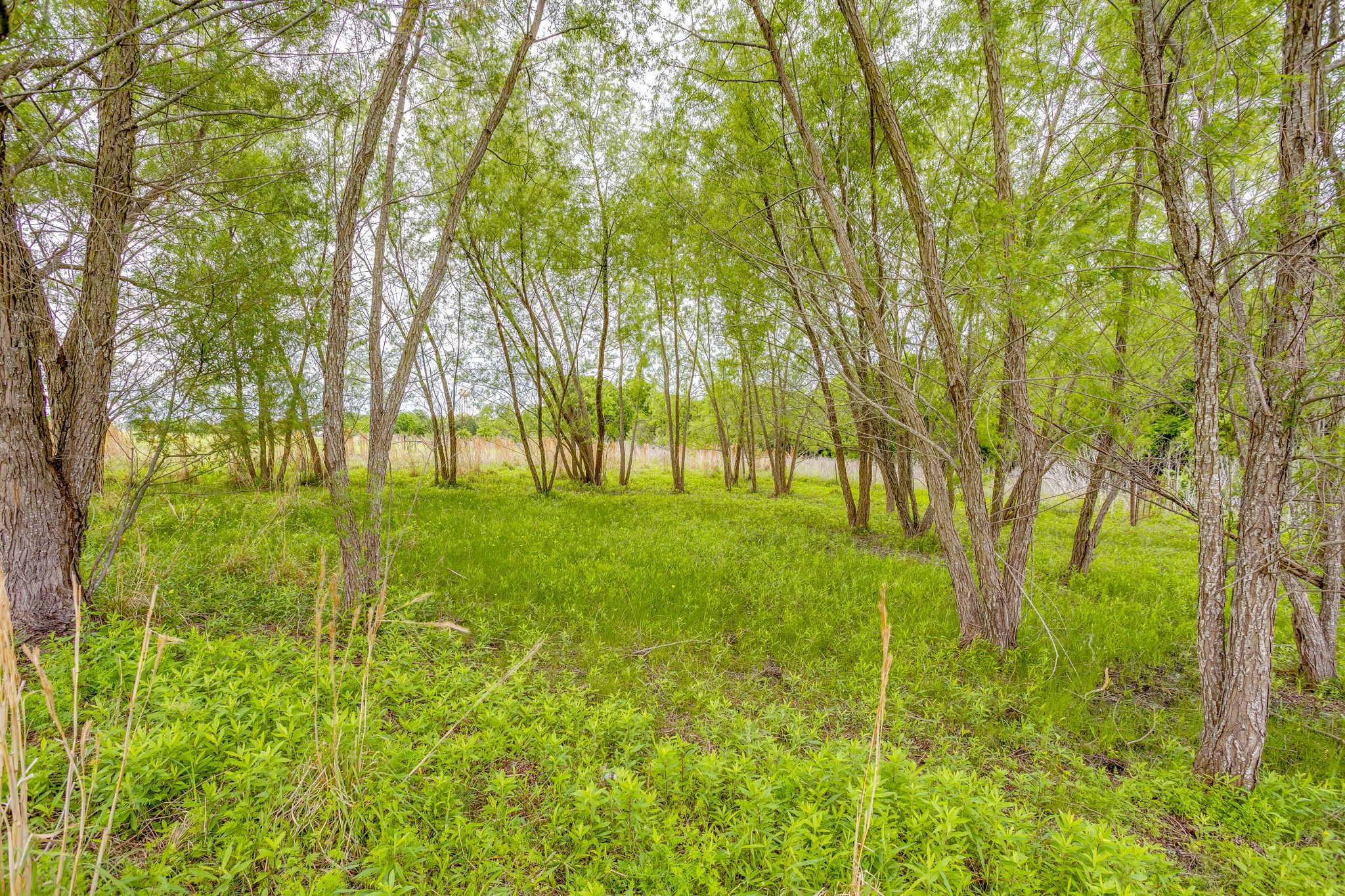 385 J B Vandiver Loop Moody TX 76557