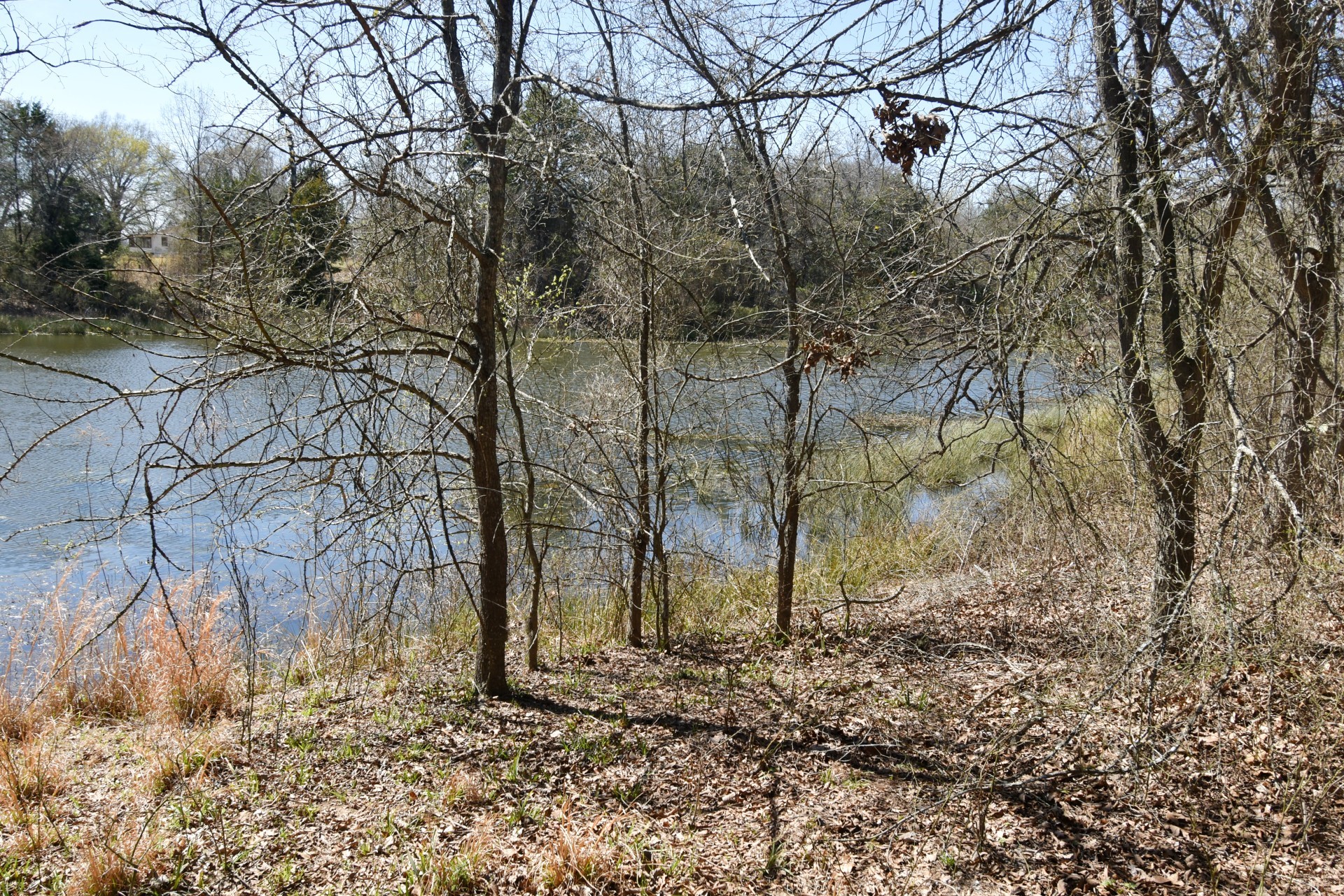 16.27 Acres Fm 2946 Emory TX 75440