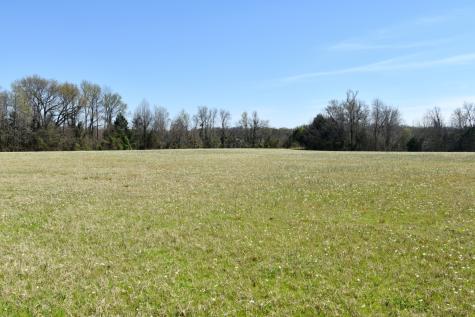 16.27 Acres Fm 2946 Emory TX 75440