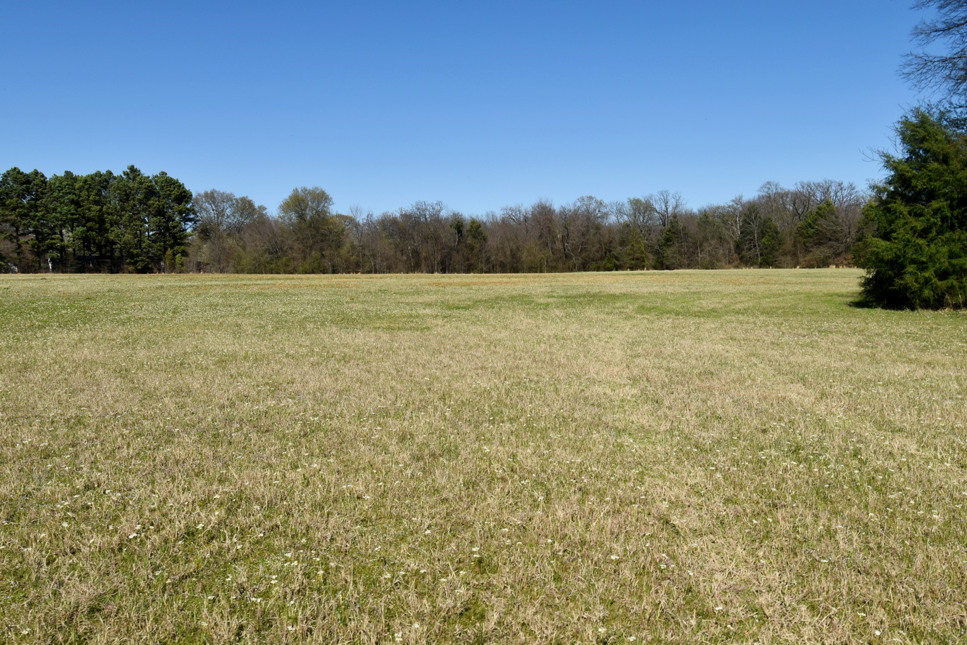 16.27 Acres Fm 2946 Emory TX 75440