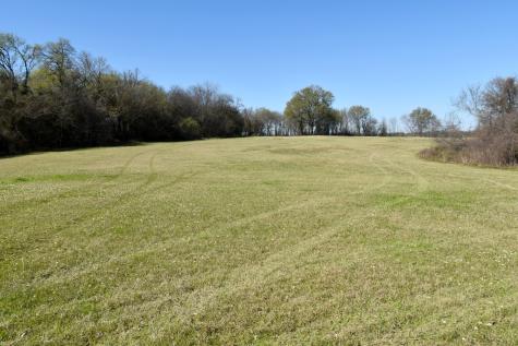 16.27 Acres Fm 2946 Emory TX 75440