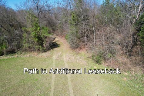 16.27 Acres Fm 2946 Emory TX 75440